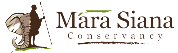 mara siana logo